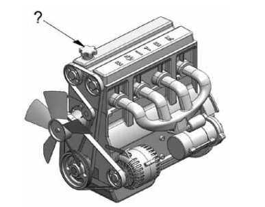 7 m